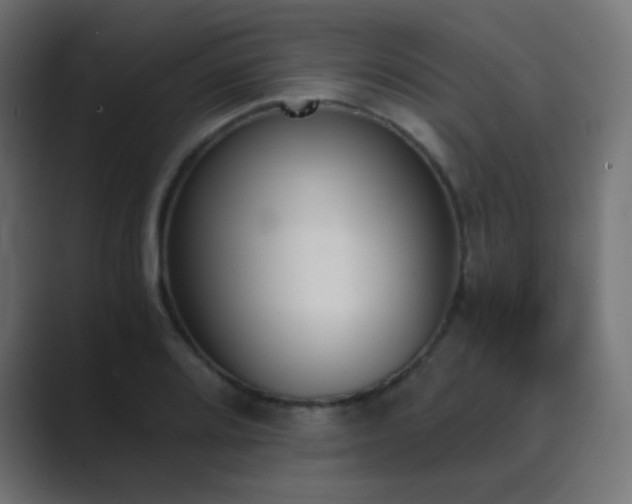 X0000089831080200706281207