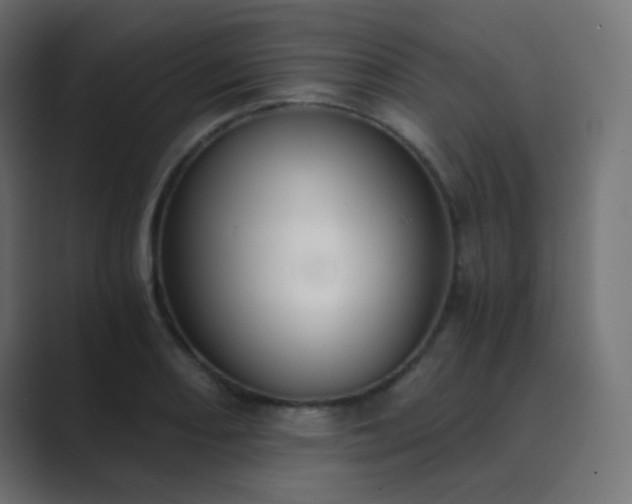 X0000089831082200706281207