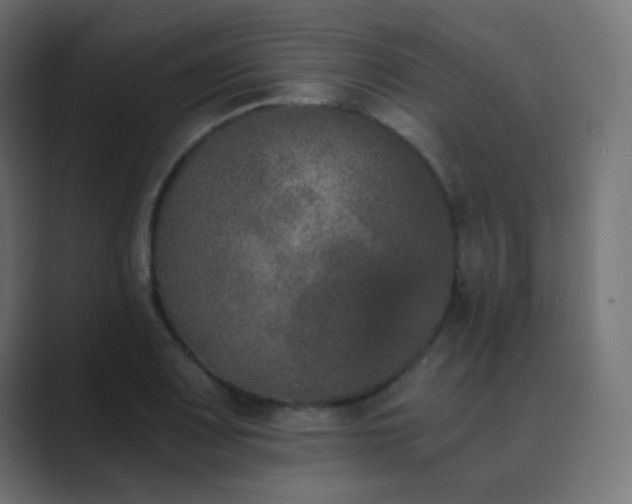 X0000089831083200706281207
