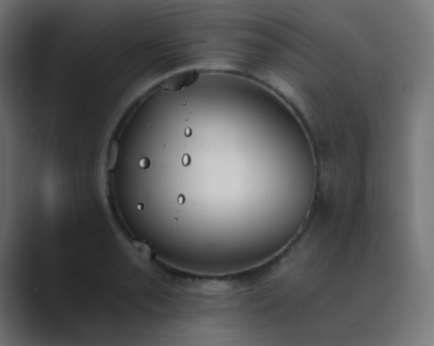 X0000089831085200706281207
