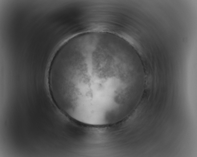 X0000089831086200706281207