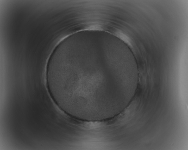 X0000089831087200706281207