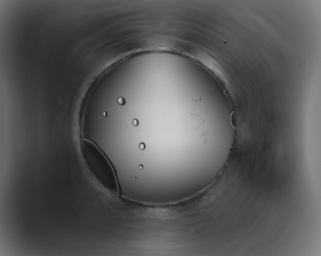 X0000089831088200706281207