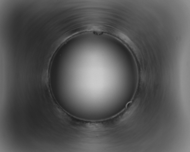 X0000089831089200706281207