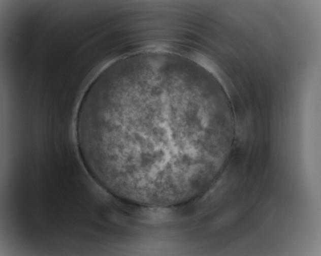 X0000089831090200706281207