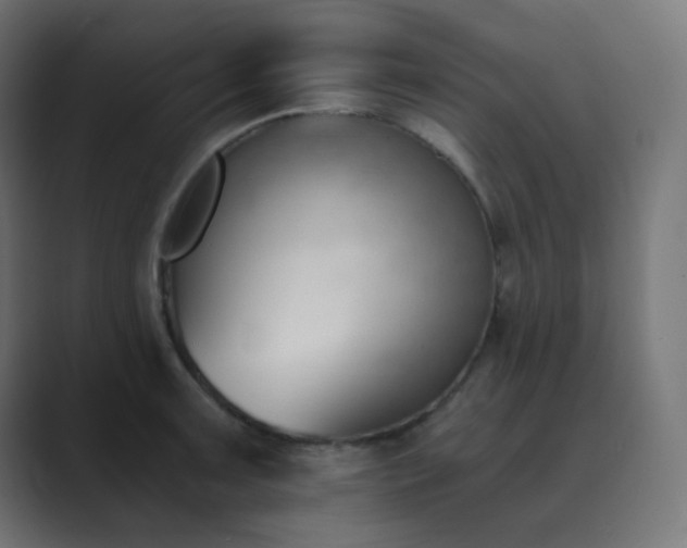X0000089831091200706281207