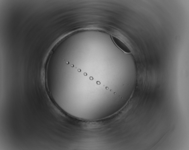 X0000089831092200706281207
