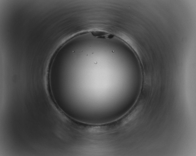 X0000089831093200706281207