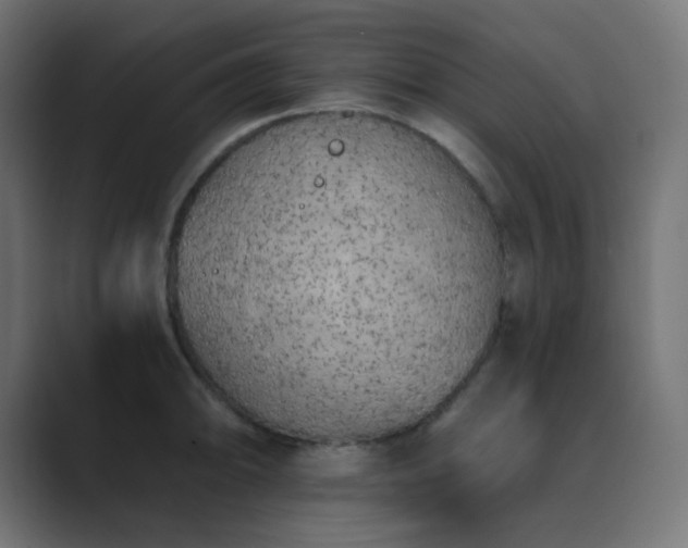 X0000089831094200706281207