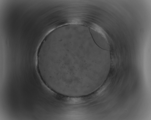 X0000089831095200706281207