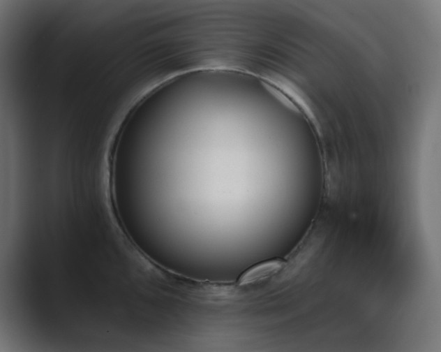 X0000089831096200706281207