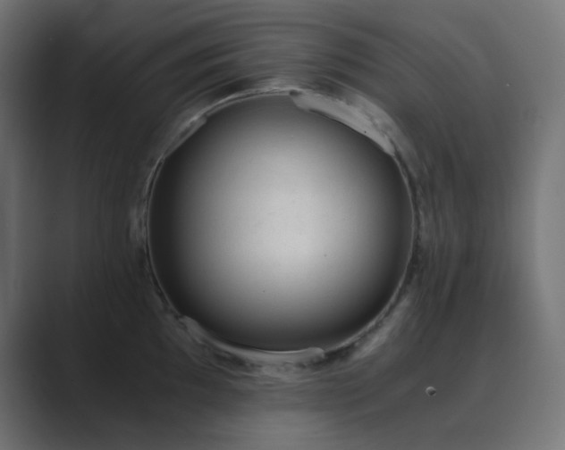 X0000089831097200706281207