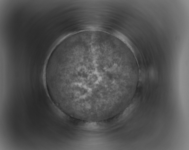 X0000089831098200706281207