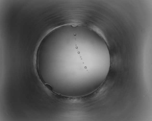 X0000089831099200706281207