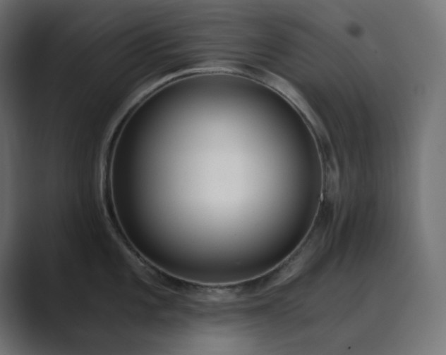 X0000089831101200706281207