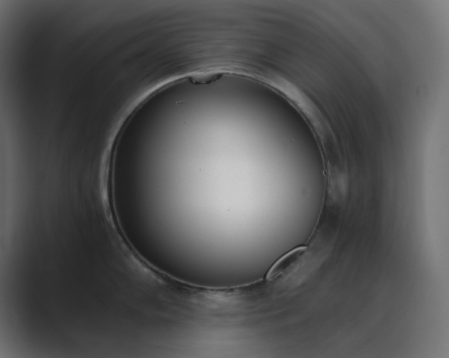 X0000089831102200706281207