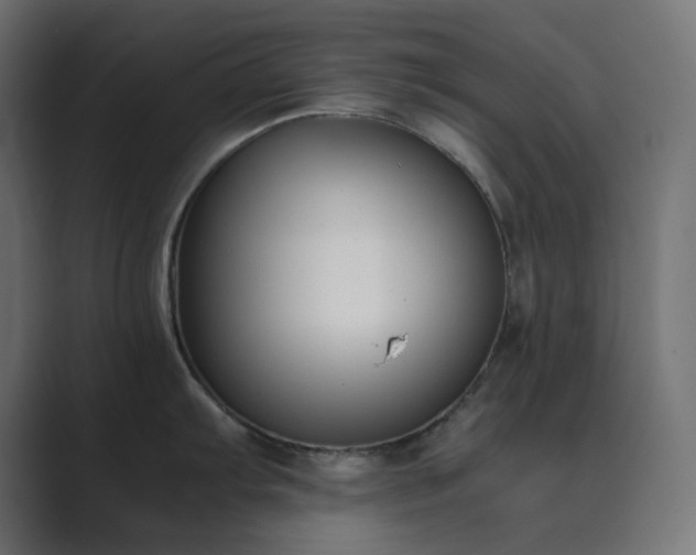 X0000089831103200706281207