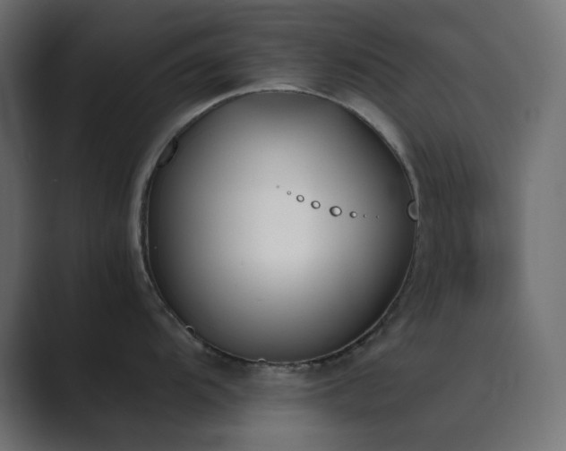 X0000089831104200706281207
