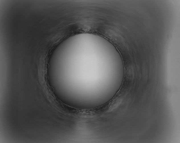 X0000089831105200706281206