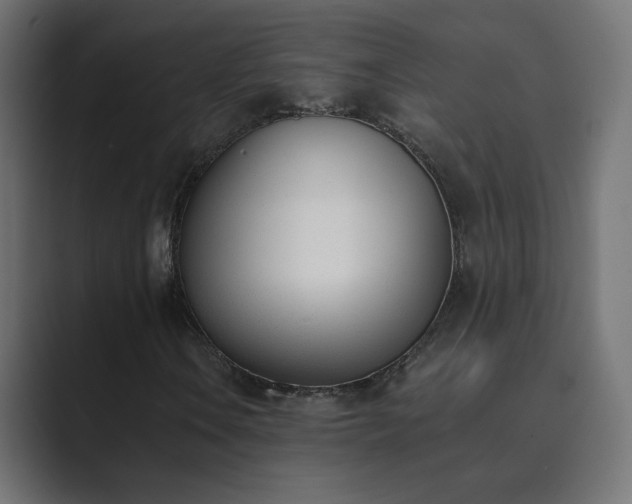 X0000089831106200706281206