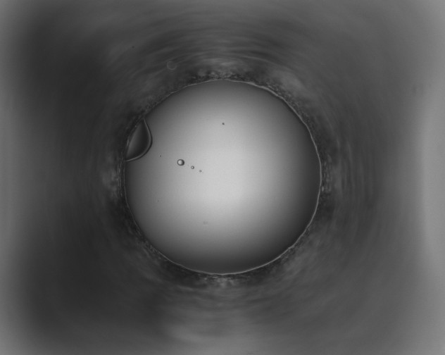 X0000089831109200706281206