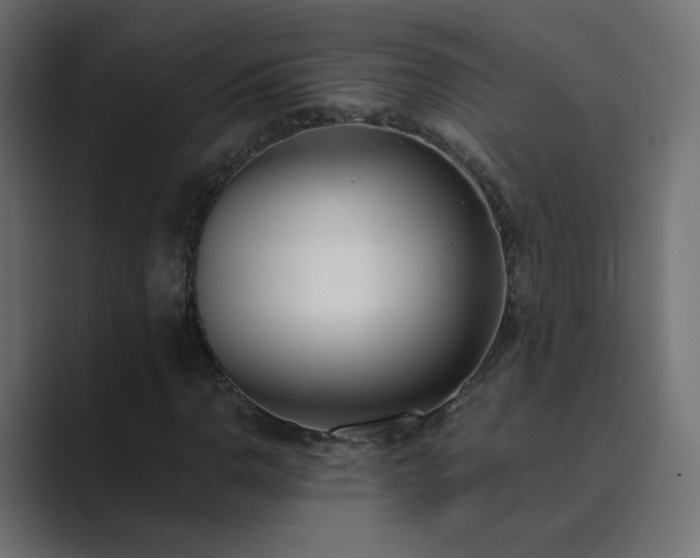 X0000089831110200706281206