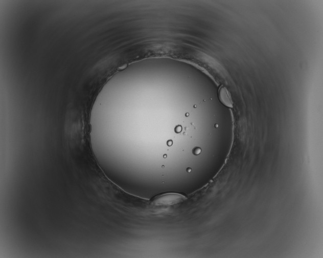 X0000089831111200706281206