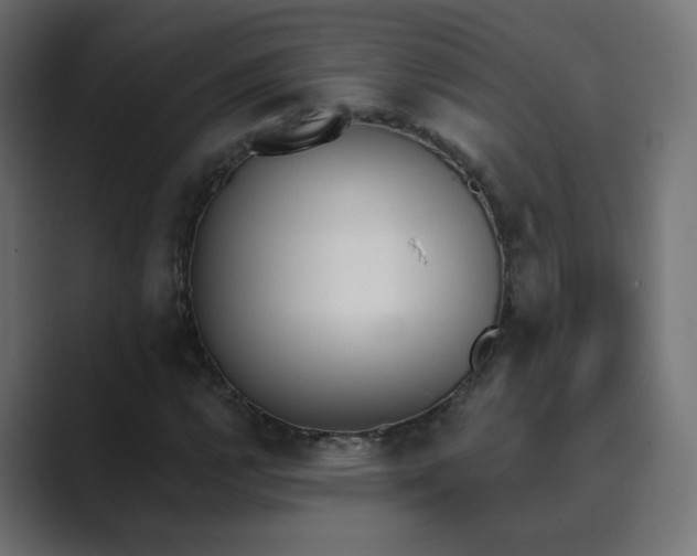 X0000089831112200706281206