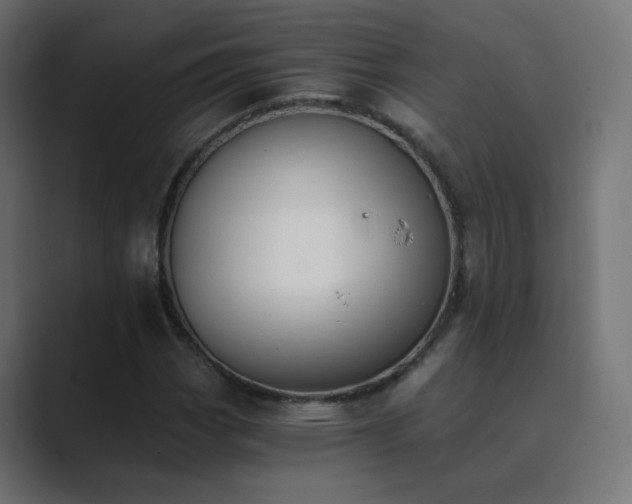 X0000089831113200706281206