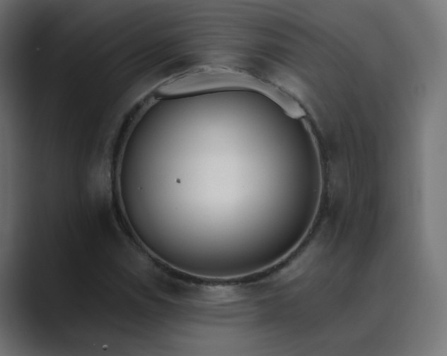 X0000089831114200706281206