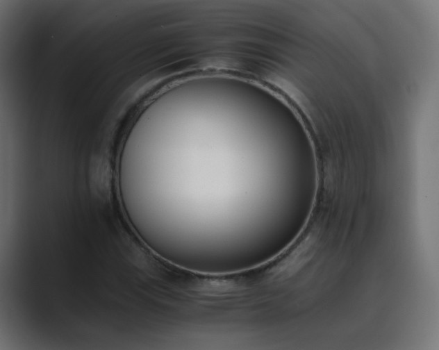 X0000089831115200706281206