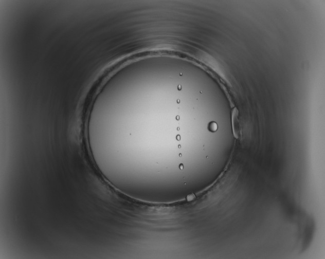 X0000089831116200706281206