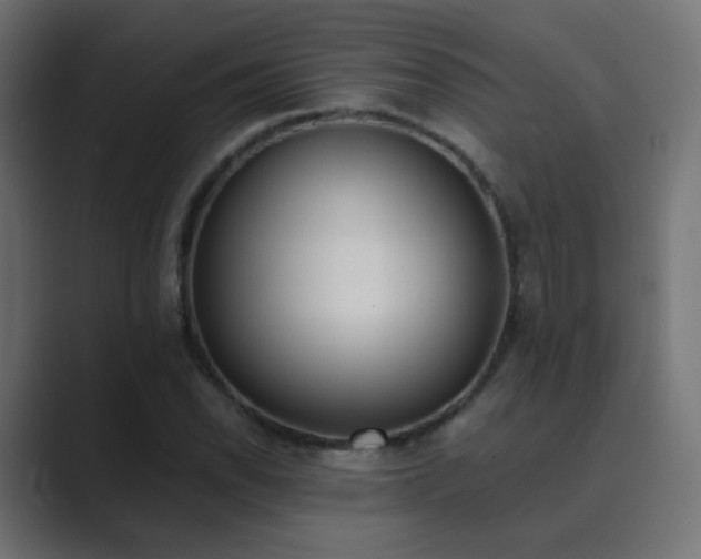 X0000089831118200706281207