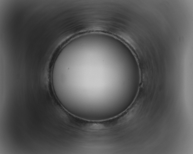 X0000089831119200706281207
