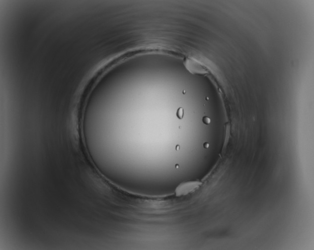 X0000089831120200706281207