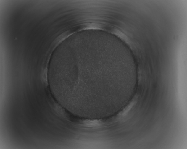 X0000089831121200706281207