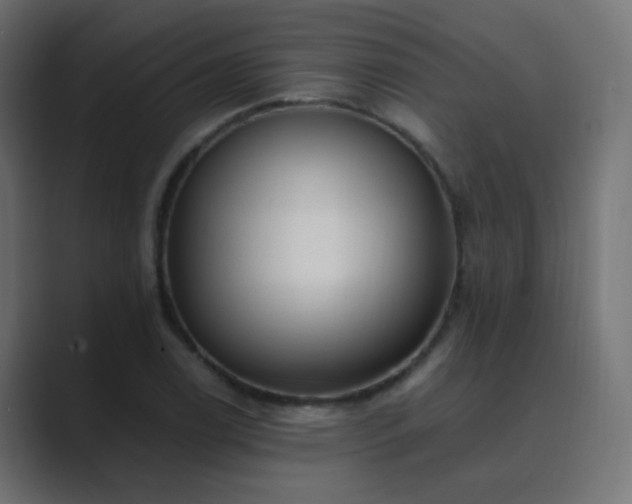 X0000089831122200706281207