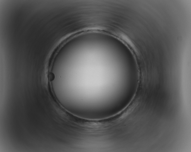 X0000089831124200706281207