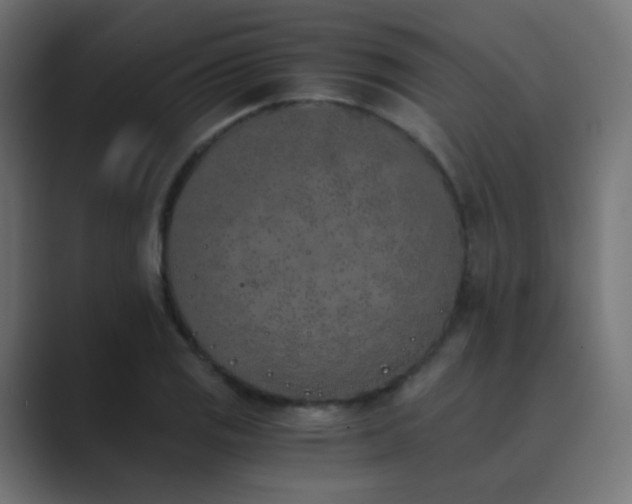 X0000089831125200706281207