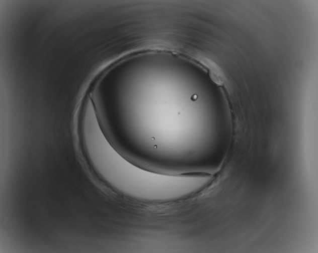 X0000089831128200706281207
