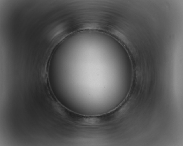 X0000089831129200706281207