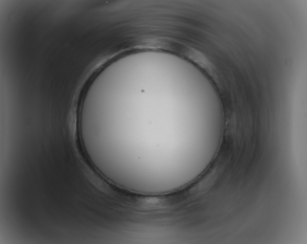 X0000089831130200706281207