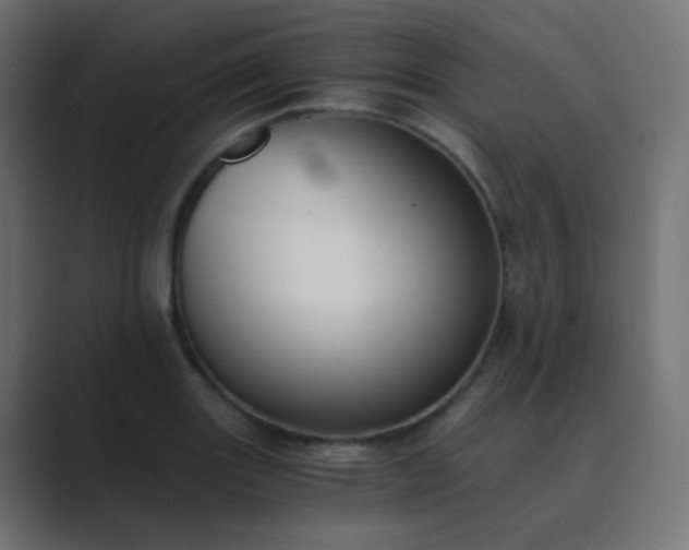 X0000089831131200706281207