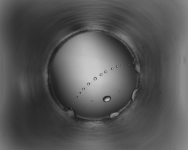 X0000089831133200706281207