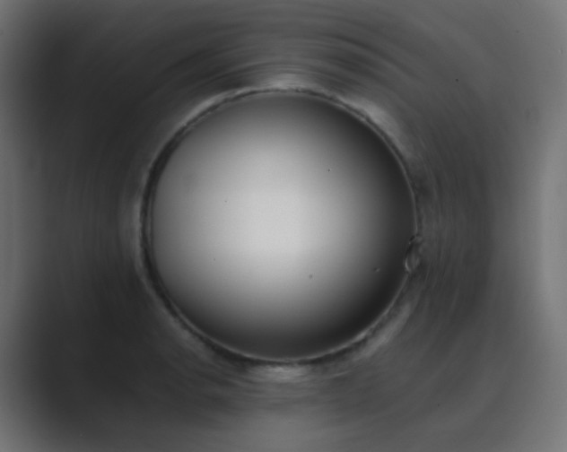 X0000089831134200706281207