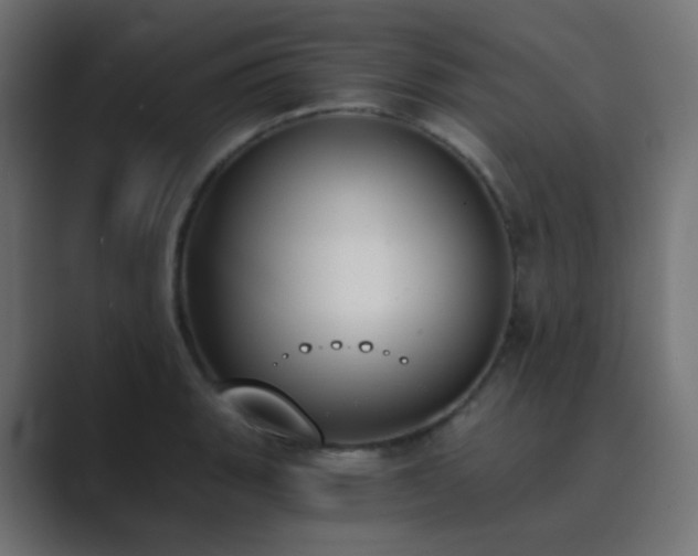 X0000089831135200706281207