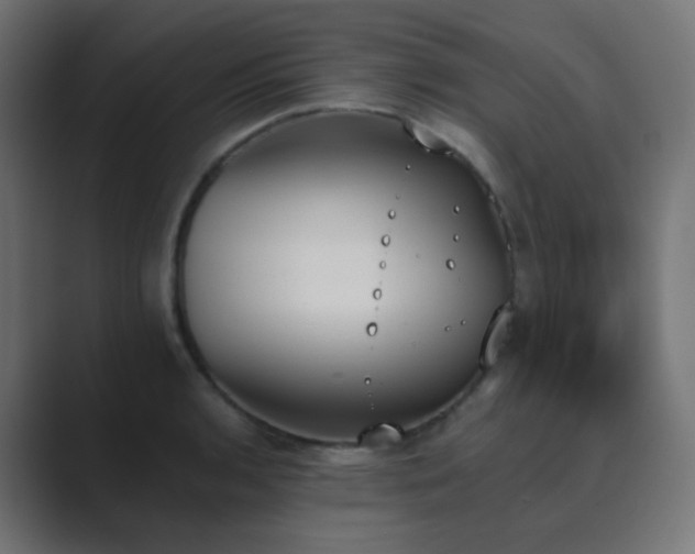 X0000089831136200706281207