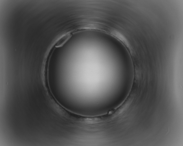 X0000089831138200706281207