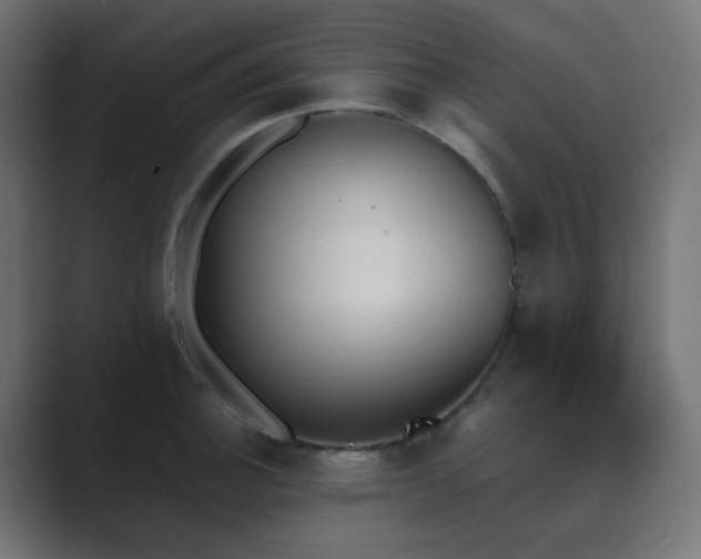 X0000089831140200706281207