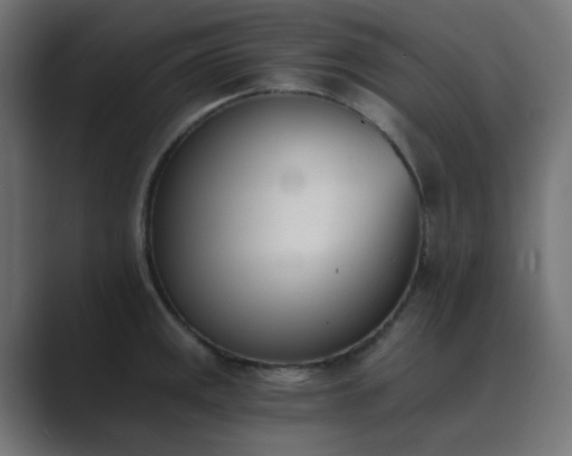 X0000089831141200706281207